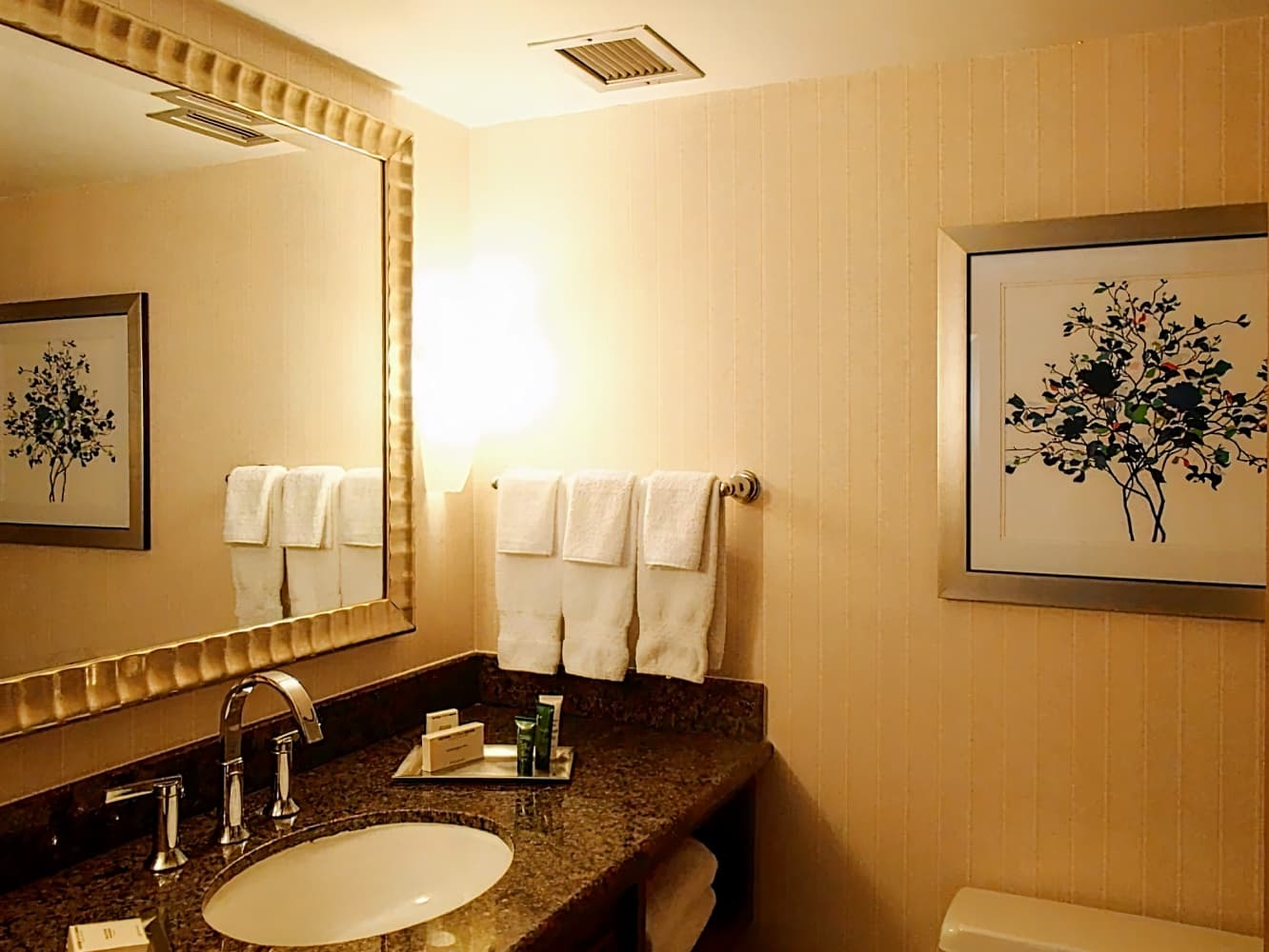 Hilton Arlington, TX