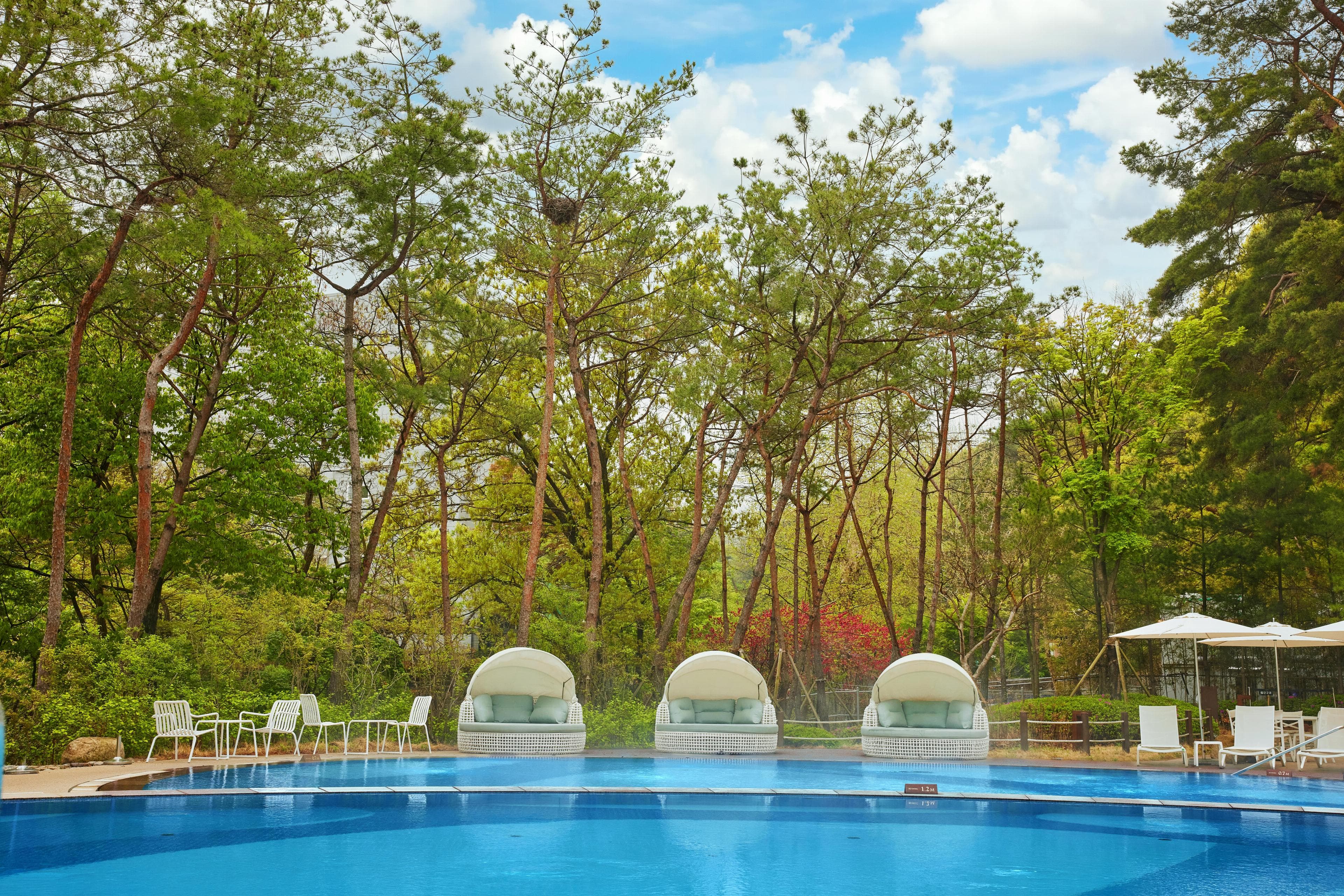 Paraspara Seoul  파라스파라 서울