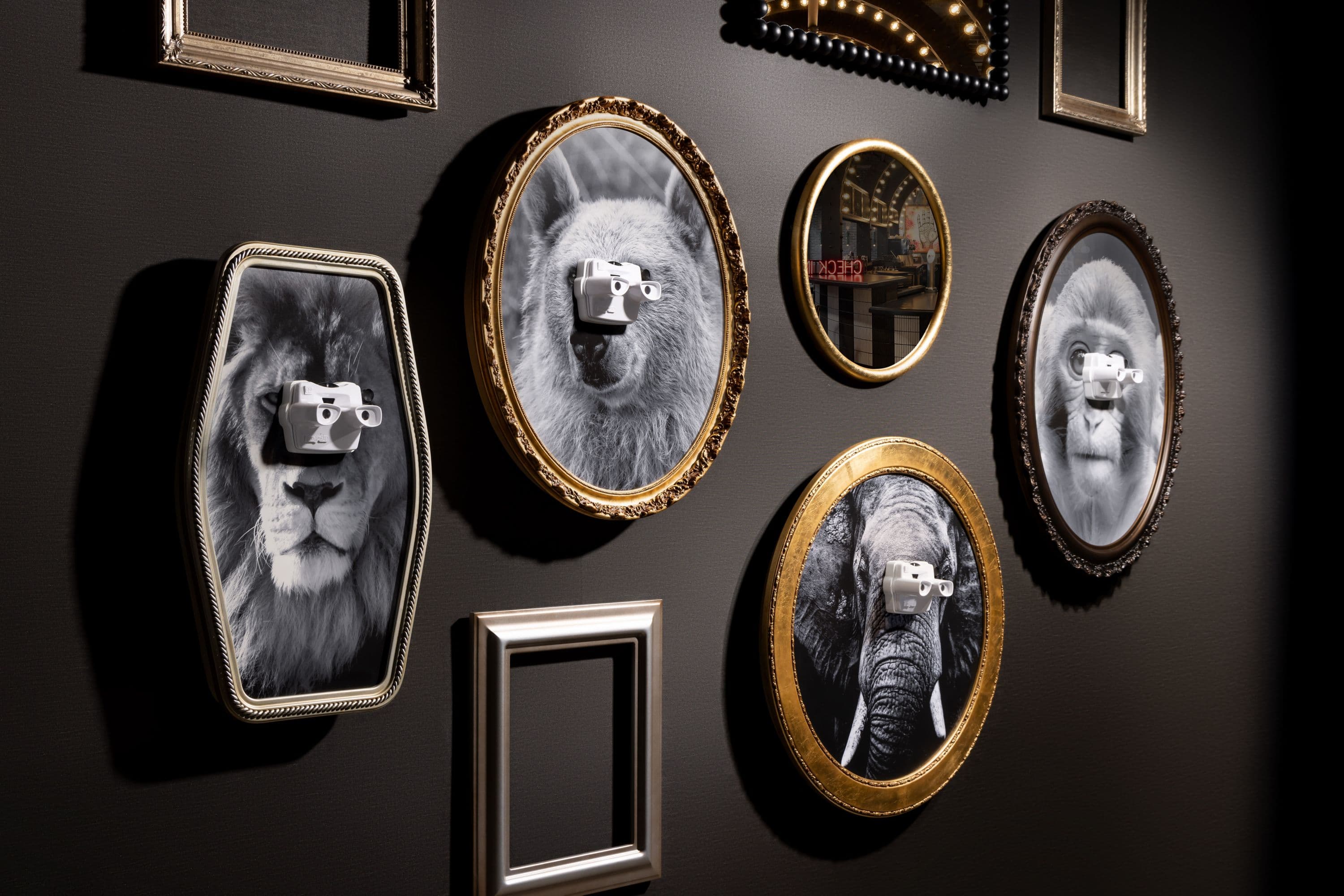 Moxy Allentown Downtown