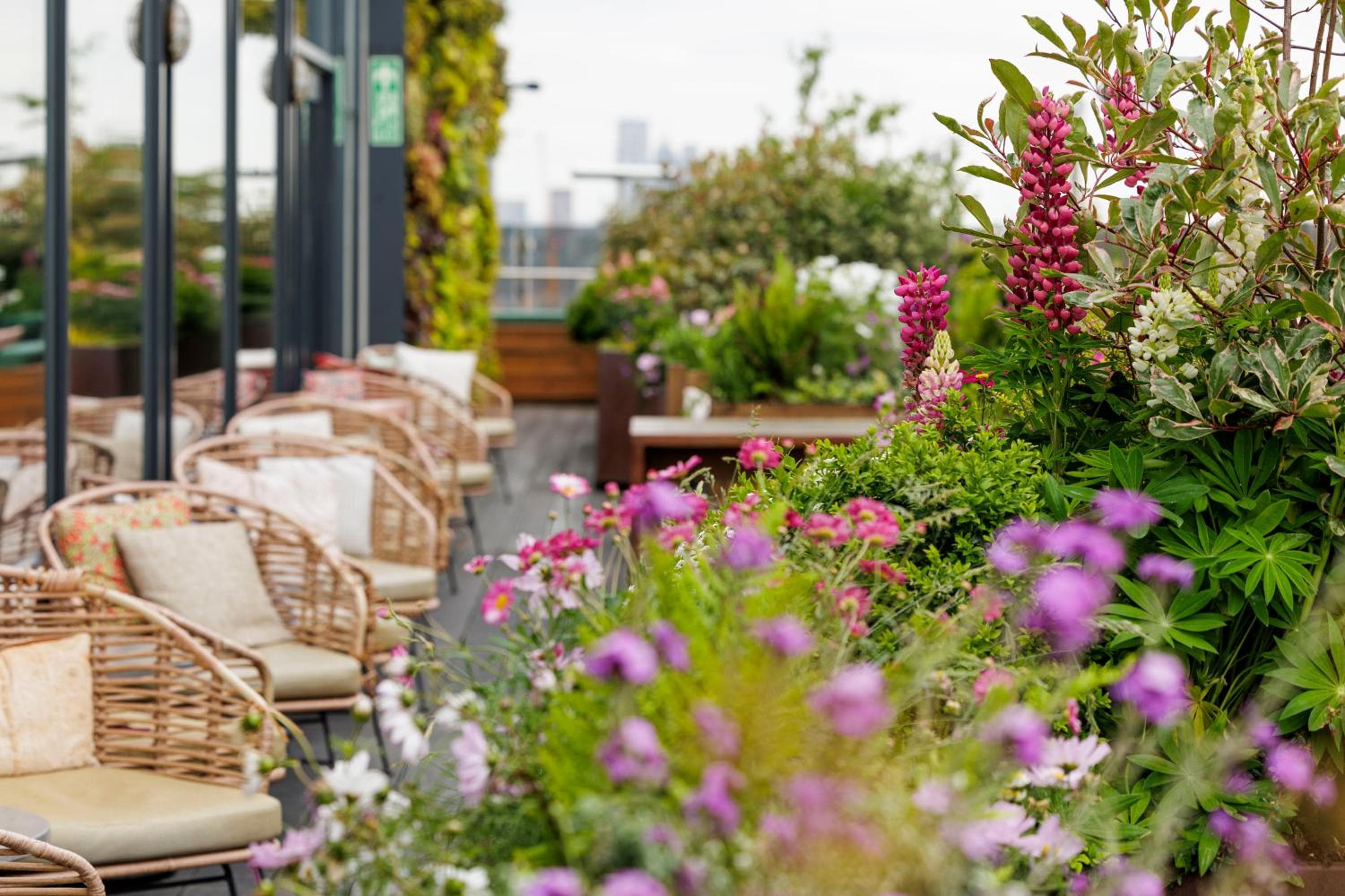 Treehouse Hotel London