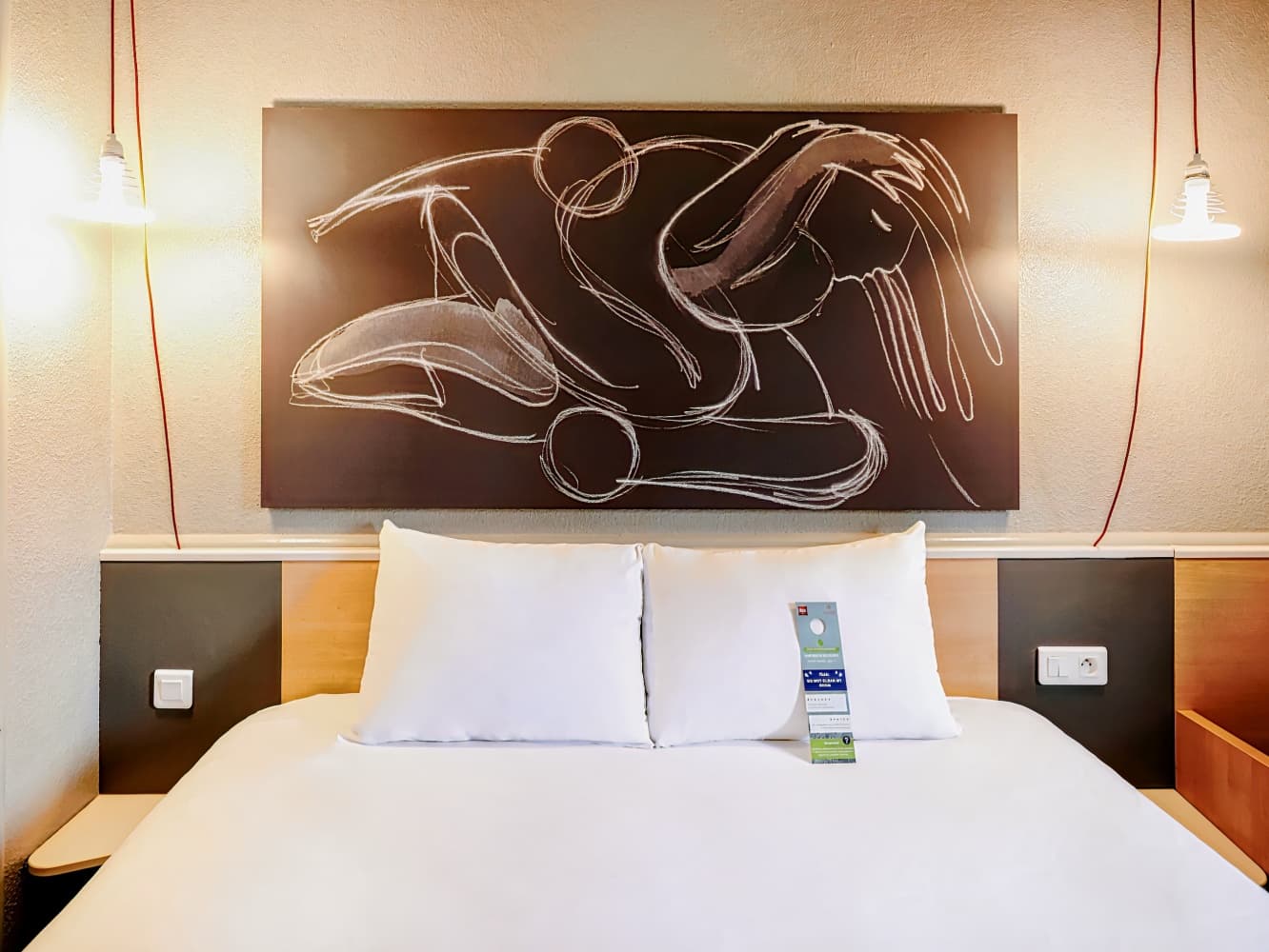 ibis Lyon Gerland Musée des Confluences